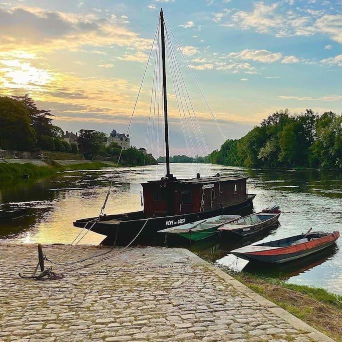 Le 20 La Loire Maison De Bord De Loire Chalonnes-sur-Loire Екстериор снимка
